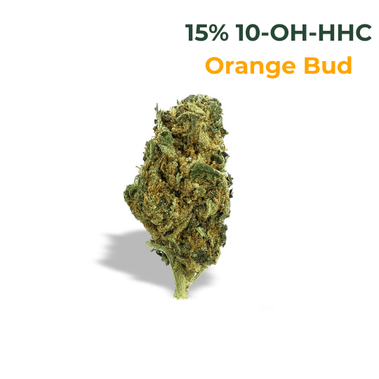 10-OH-HHC_Blueten_Orange_Bud_Legal_Cannabis_kaufen
