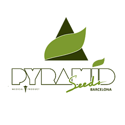 Pyramid Seeds