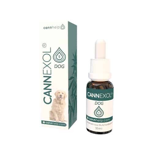 cannexol-dog.jpg
