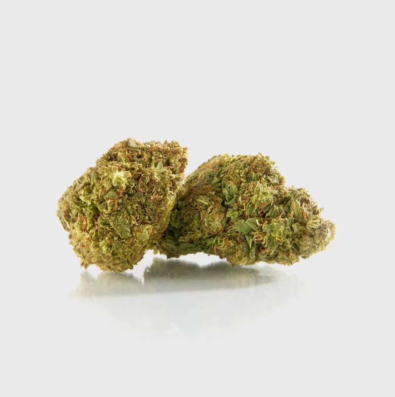 lemon-queen-5percent-hhcp-5percenth4cbd-1percent-cbn-4percent-cbd-flower-power-1