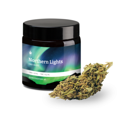 northern_lights_neue_genetik_hanfgarten_2023